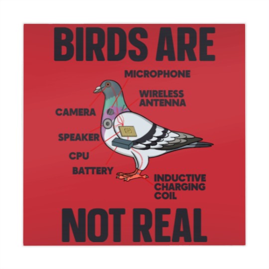 Discover Birds Are Not Real Mahjong Mats