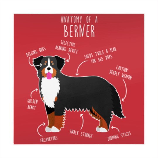 Discover Bernese Mountain Dog Anatomy - Bernese Mountain Dog - Mahjong Mats
