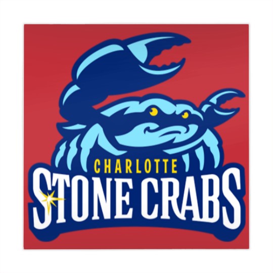 Discover Charlotte Stone Crabs Mahjong Mats