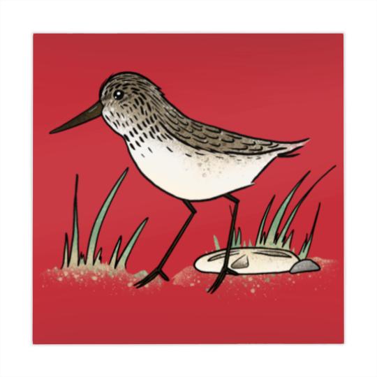 Discover Sandpiper Mahjong Mats