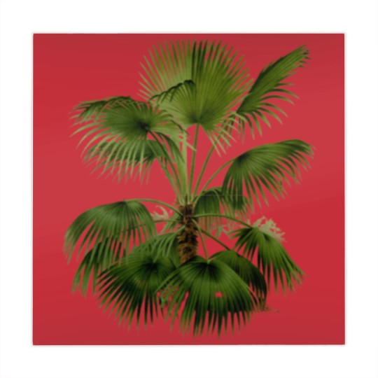 Discover Palm Tree Botanical Illustration Mahjong Mats