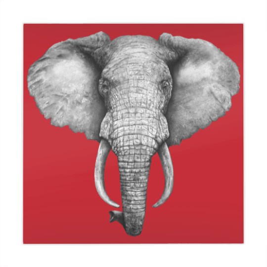 Discover Elephant - Elephant - Mahjong Mats