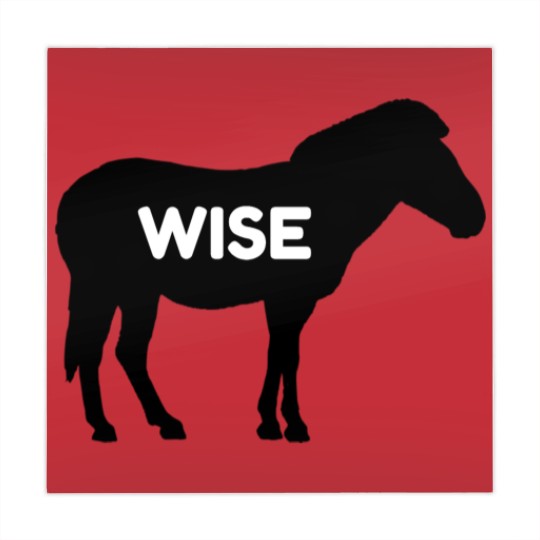 Discover Wise Ass Funny Donkey Funny Mahjong Mats