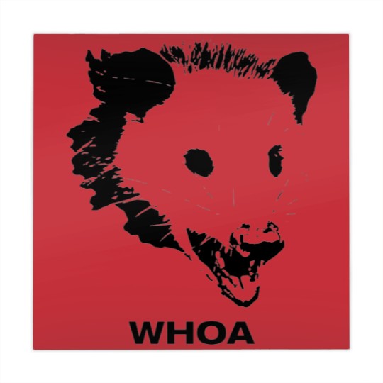 Discover Possum - Phish - Mahjong Mats