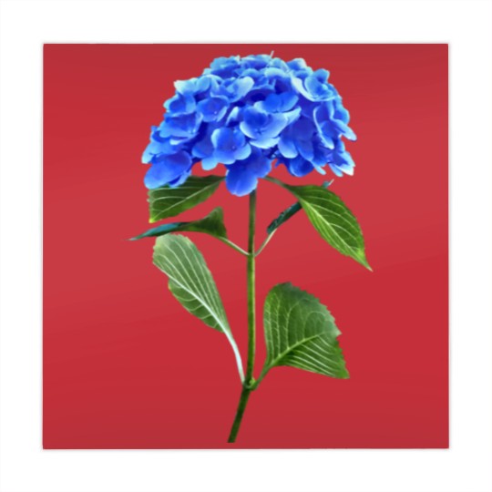 Discover Vivid Blue Hydrangea Mahjong Mats