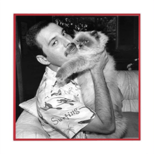 Discover Freddie Mercury and his cat photo Mahjong Mats, Freddie Mercury Mahjong Mats