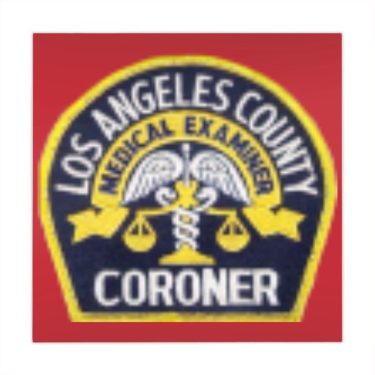 Discover Los Angeles County Coroner | Active Mahjong Mats