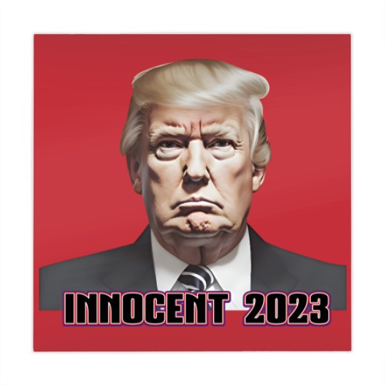 Discover President Donald J. Trump Not Guilty 2023 Indictment Mahjong Mats