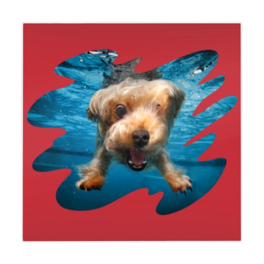 Discover Underwater Dogs Brady by Seth Casteel Mahjong Mats
