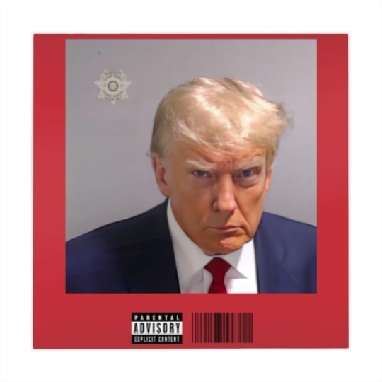 Discover Donald Trump Mugshot Mahjong Mats
