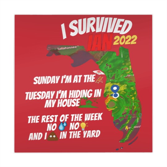 Discover I Survived Hurricane Ian Mahjong Mats