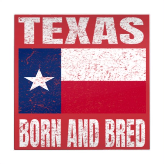 Discover Texas Born And Bred - Vintage Texas State Flag Mahjong Mats