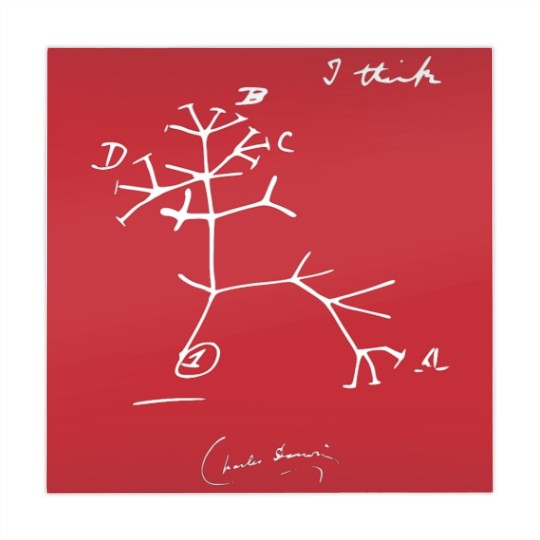 Discover Charles Darwin Evolutionary Tree of Life I Think Mahjong Mats