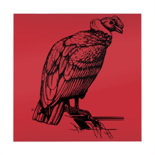 Discover condor vulture Mahjong Mats