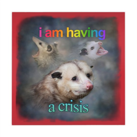 Discover I am having a crisis possum word art Classic Mahjong Mats