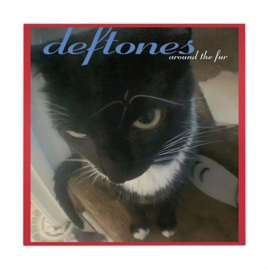 Discover Deftone Mahjong Mats Deftone Cat Meme Mahjong Mats Cattones Gift For Them