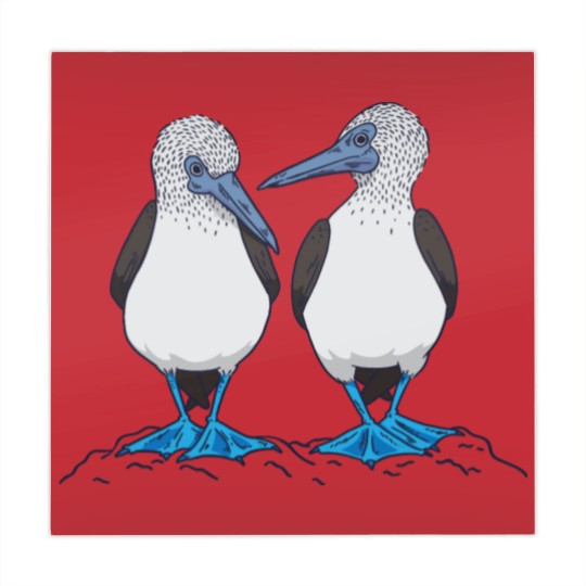Discover Blue Footed Booby Birds Mahjong Mats