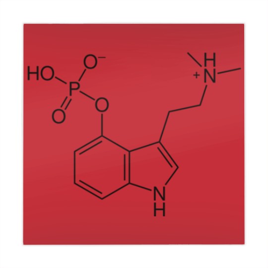 Discover psylocibin drug magic mushrooms Mahjong Mats