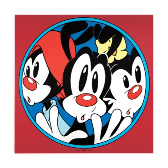 Discover Animaniacs | Warner Siblings Circle Graphic Mahjong Mats