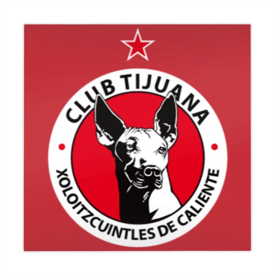 Discover club tijuana Mahjong Mats