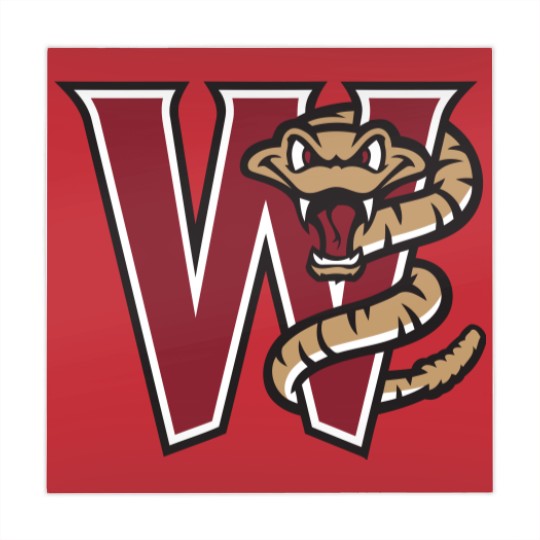 Discover Wisconsin Timber Rattlers Mahjong Mats