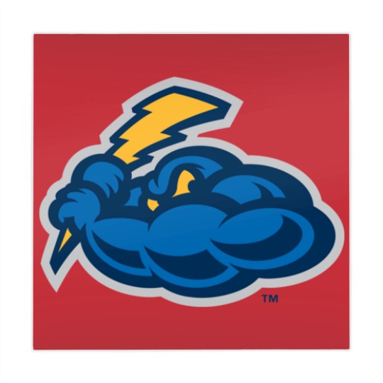 Discover Trenton Thunder Mahjong Mats