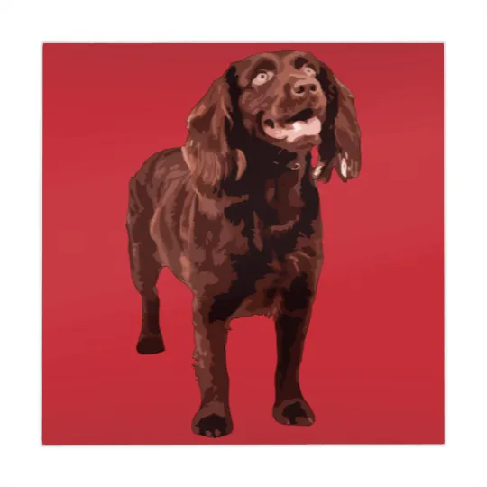 Discover Boykin Spaniel Mahjong Mats Mahjong Mats