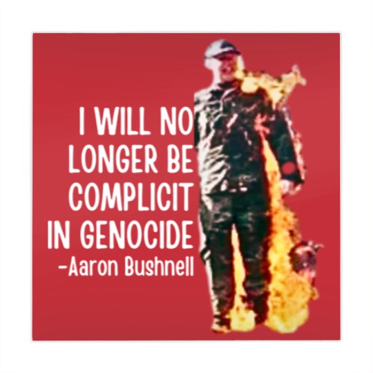 Discover Aaron Bushnell, Us airman - Aaron Bushnell Mahjong Mats