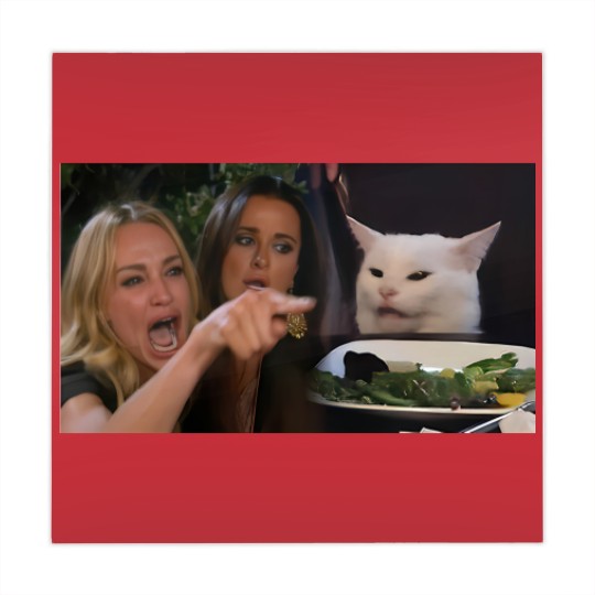 Discover Woman Yelling at a Cat - Meme - Mahjong Mats