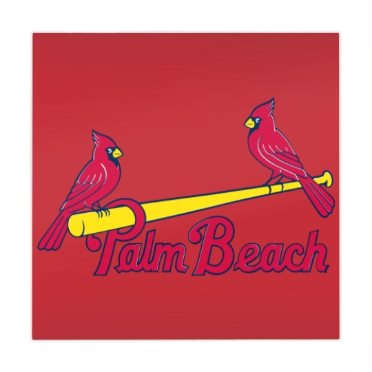 Discover Flaying with Palm Beach Cardinal Team 2 Mahjong Mats