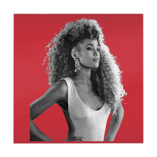 Discover Whitney Houston Mahjong Mats