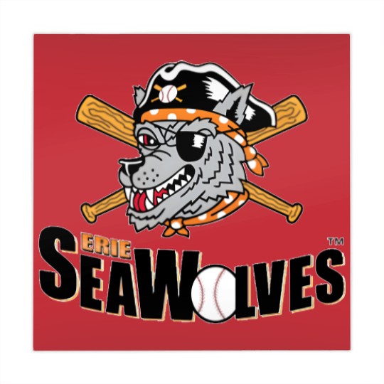 Discover erie seawolves logo Mahjong Mats