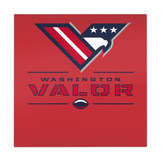 Discover Washington Valor Mahjong Mats