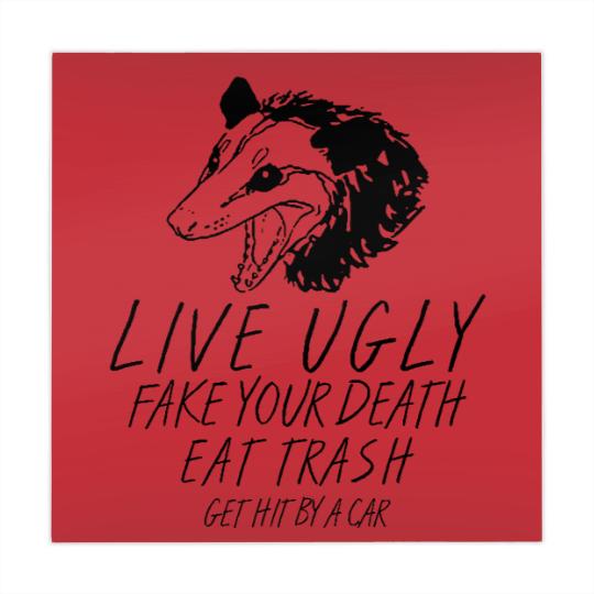 Discover Live Ugly  Your Death Eat Trash Get Hit By A Car Opossum Mahjong Mats