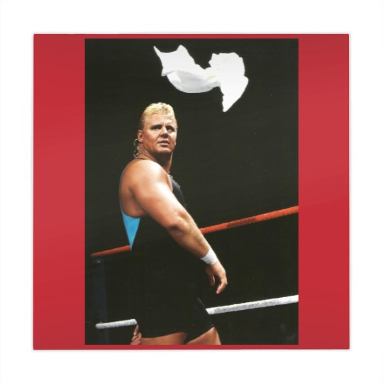 Discover The Perfect Picture Mr Perfect Wrestling Mahjong Mats