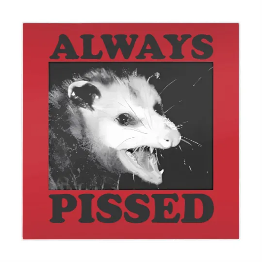 Discover Always Pissed Funny Opossum Eat Trash Be Free Mahjong Mats