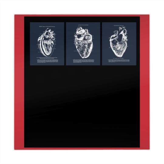 Discover Anatomy Of Human Heart Mahjong Mats