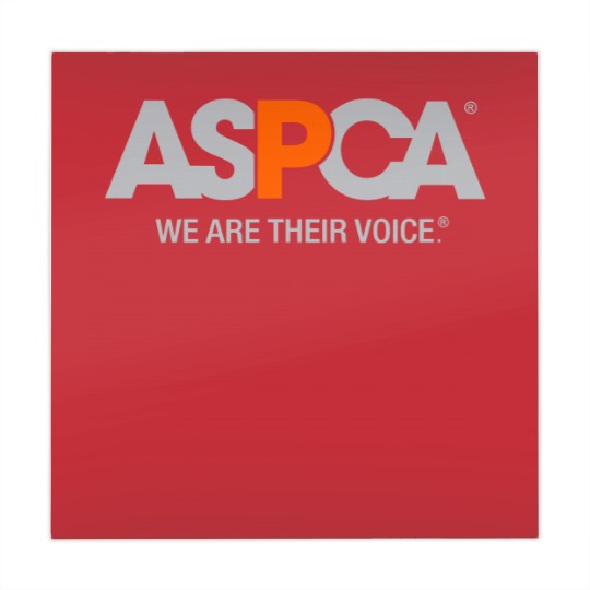 Discover ASPCA Animal Backs Mahjong Mats