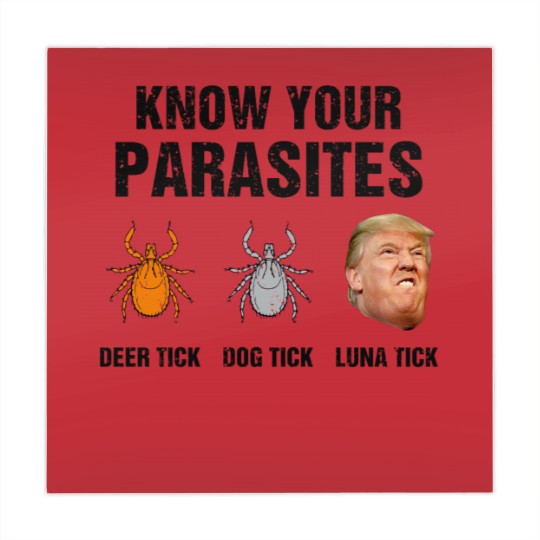 Discover Know Your Parasites Deer Tick Dog Tick Luna Tick Mahjong Mats