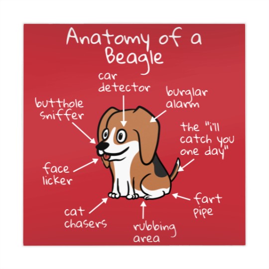 Discover Anatomy Of A Beagle Mahjong Mats