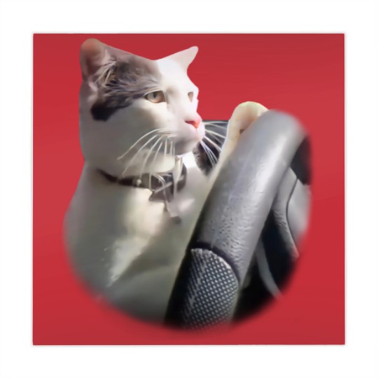 Discover Cat Driving A Car Instagram Katze Mahjong Mats