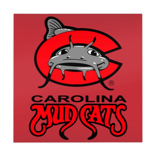 Discover Carolina Mudcats Mahjong Mats