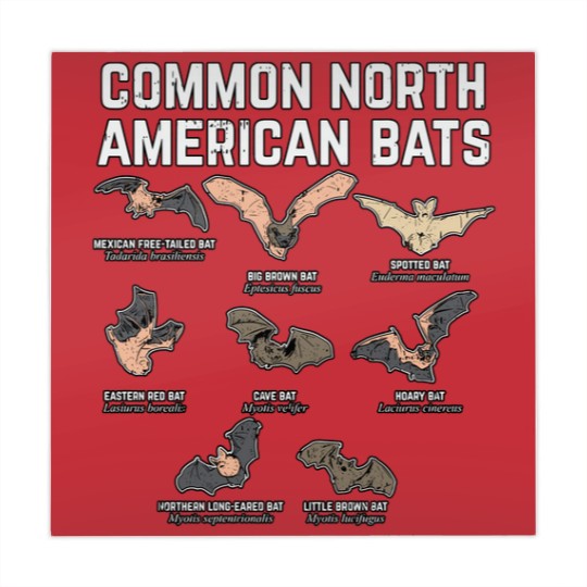 Discover Common North American Bats Mahjong Mats