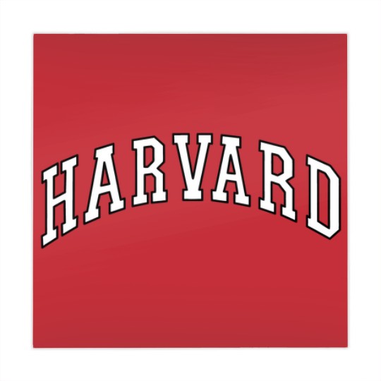 Discover Vintage Harvard University Mahjong Mats