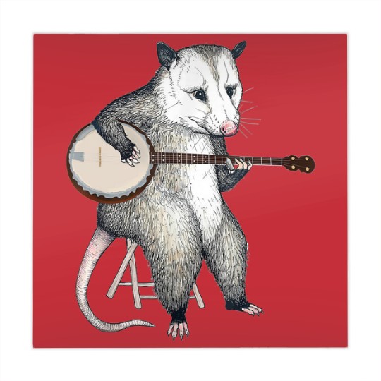 Discover Opossum Playing Banjo Guitar Possum Live Weird Trash Kitty Mahjong Mats