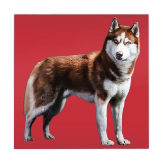 Discover Siberian Husky Red Husky Wolf Dog Mahjong Mats