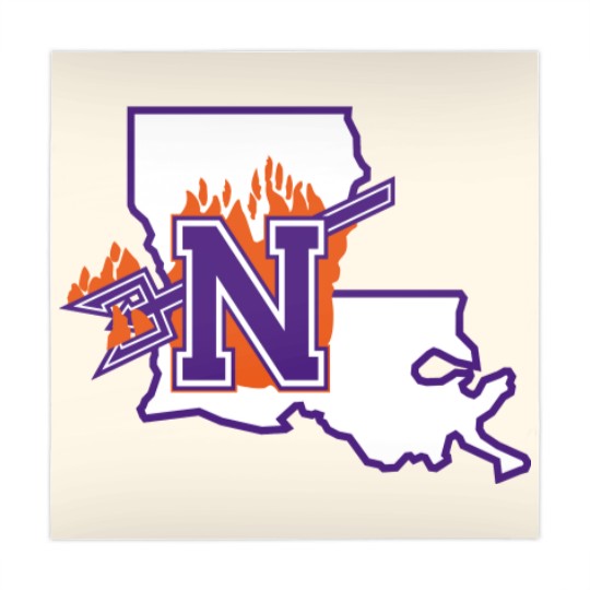 Discover Demons-Northwestern state Mahjong Mats