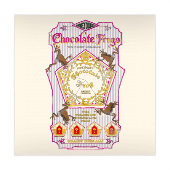 Discover Harry Potter Chocolate Frogs Mahjong Mats