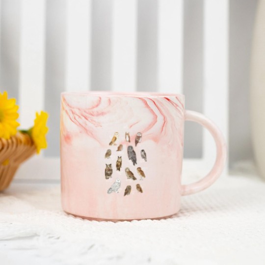 Discover Owls Marble Mugs
