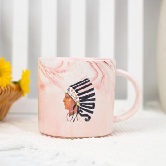 Discover Illinois Old University Marble Mugs